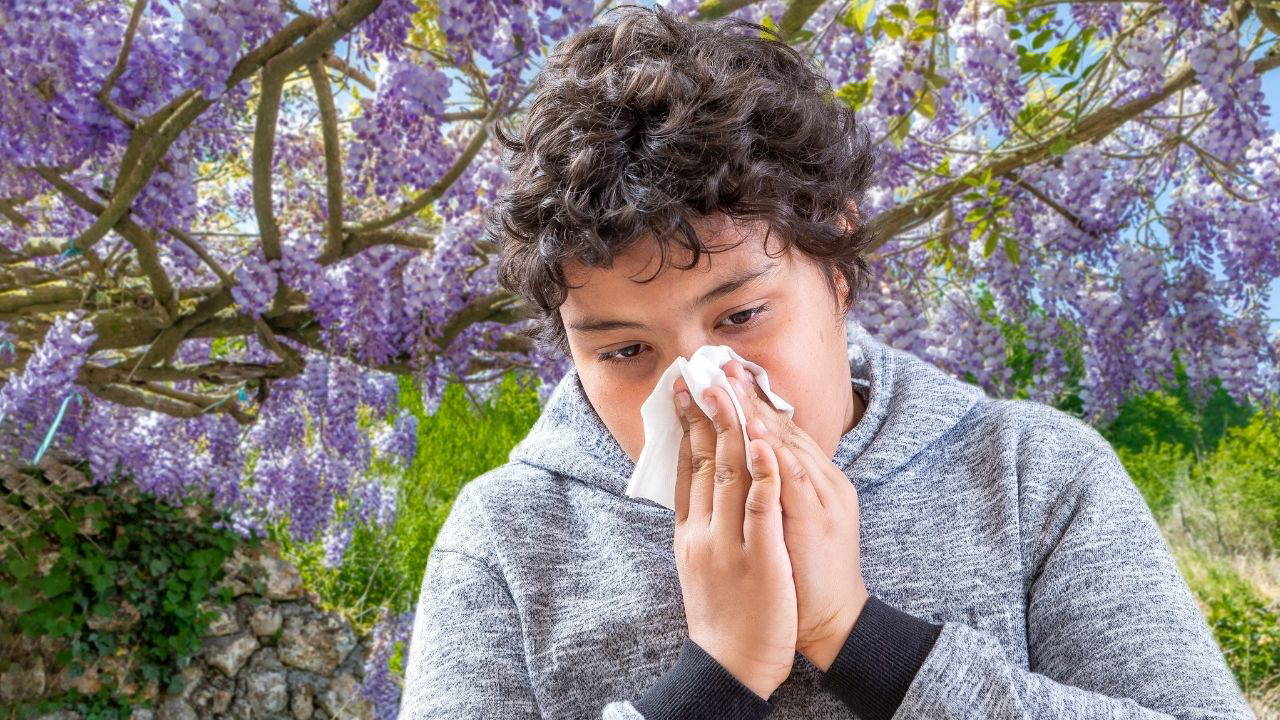 Sonradan ortaya çıkan alerjinin nedenleri nelerdir? Covid-19, kene ısırığı ve antibiyotik uyarısı